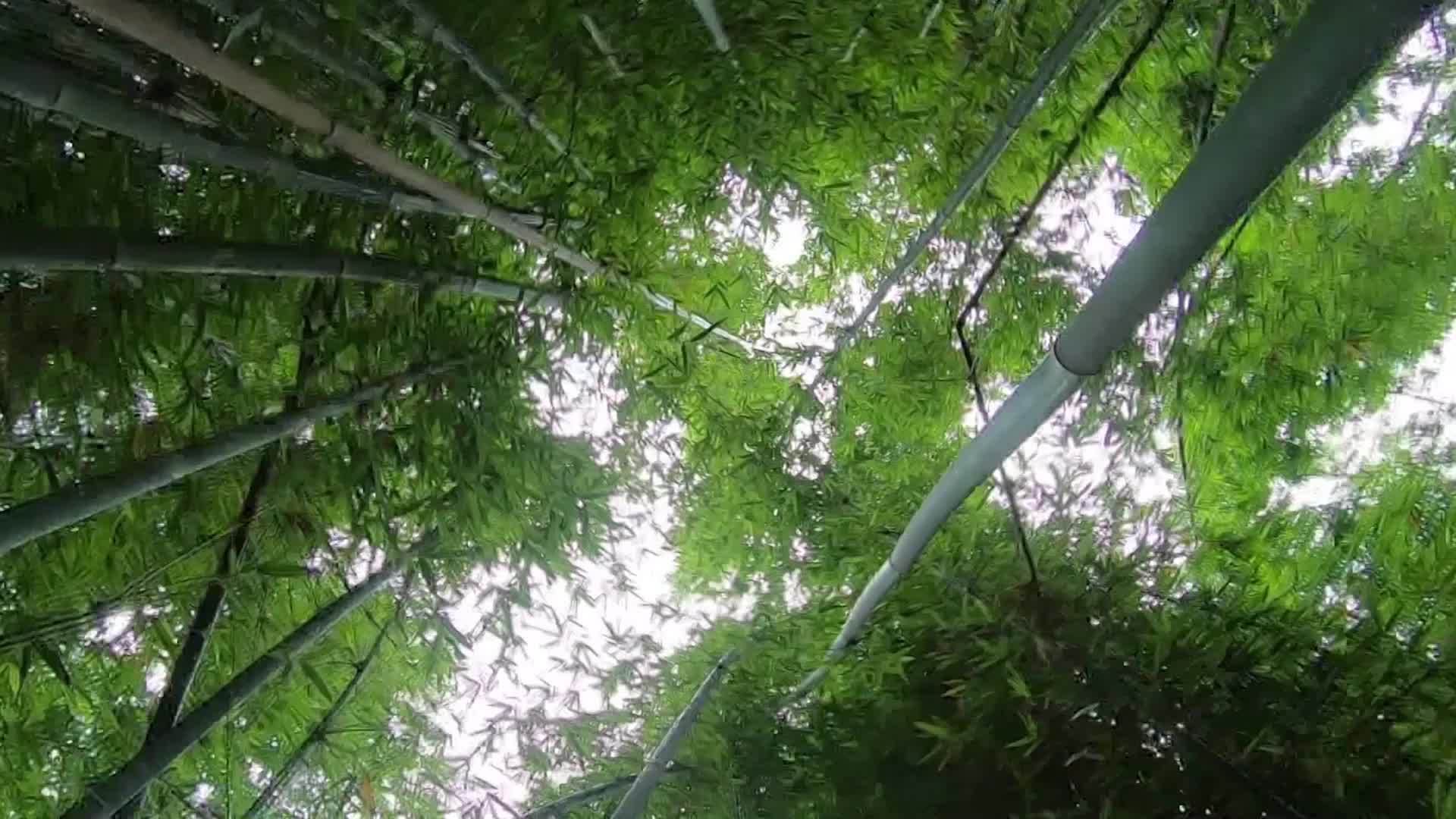 千城百县看中国｜福建长泰：竹编——经纬间的“草根技艺”