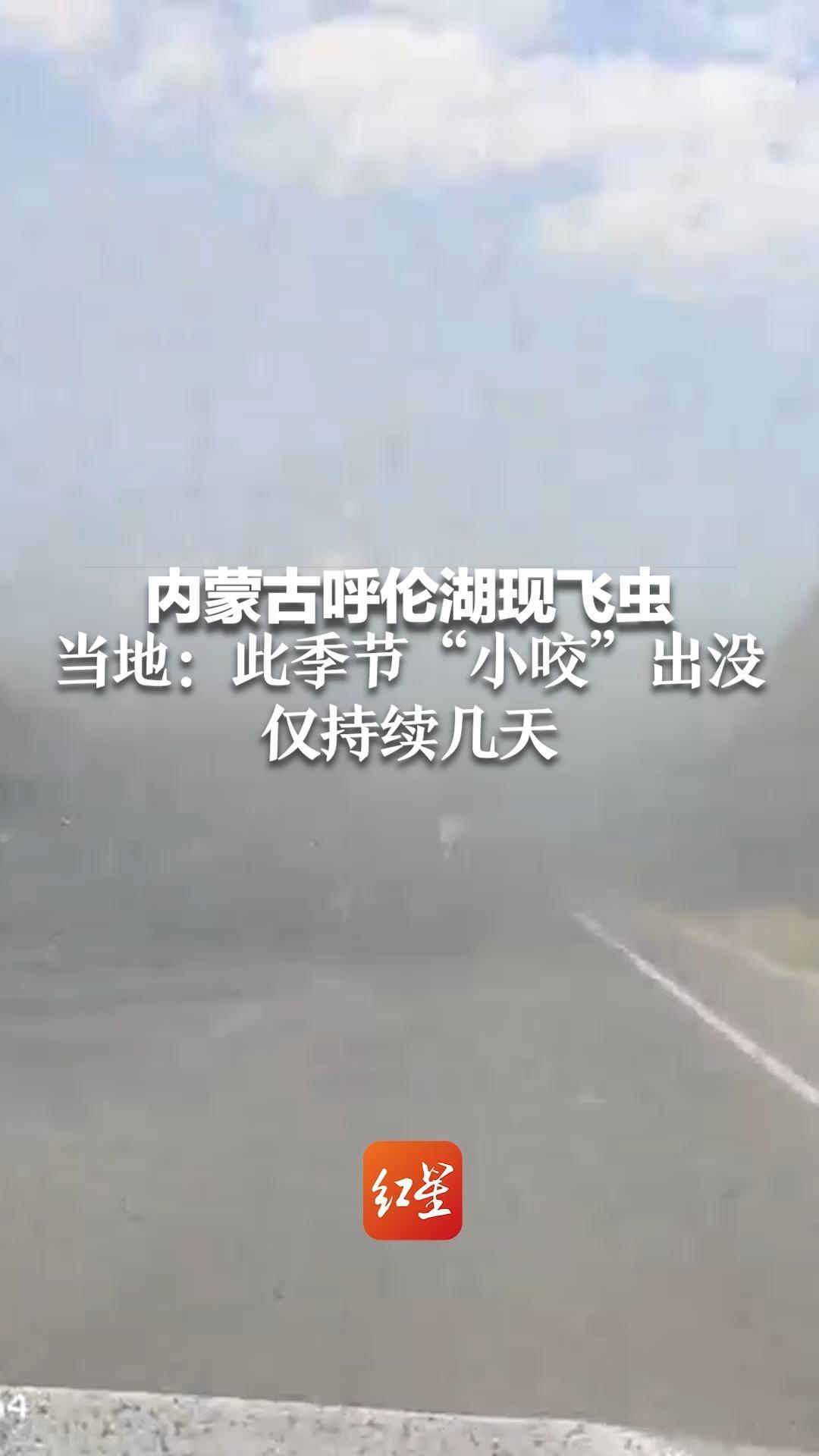 内蒙古呼伦湖现飞虫 密集如雨点 当地：此季节“小咬”出没 仅持续几天