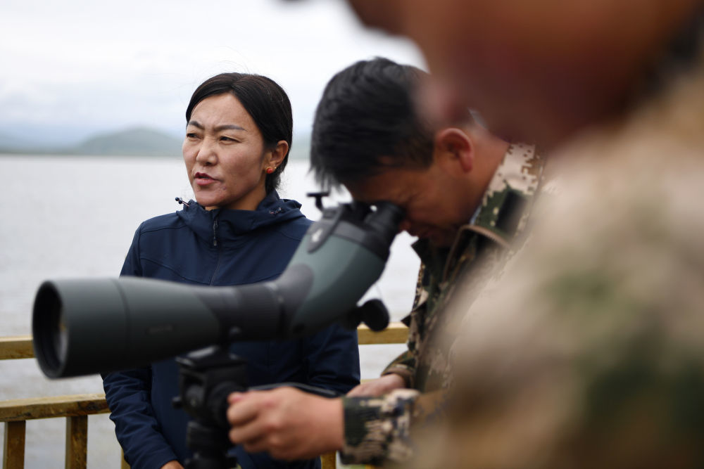 甘肃尕海则岔国家级自然保护区管护中心尕海保护站站长香毛吉（左一）和同事在保护区内用望远镜观测野生动物　新华社记者　陈斌　摄