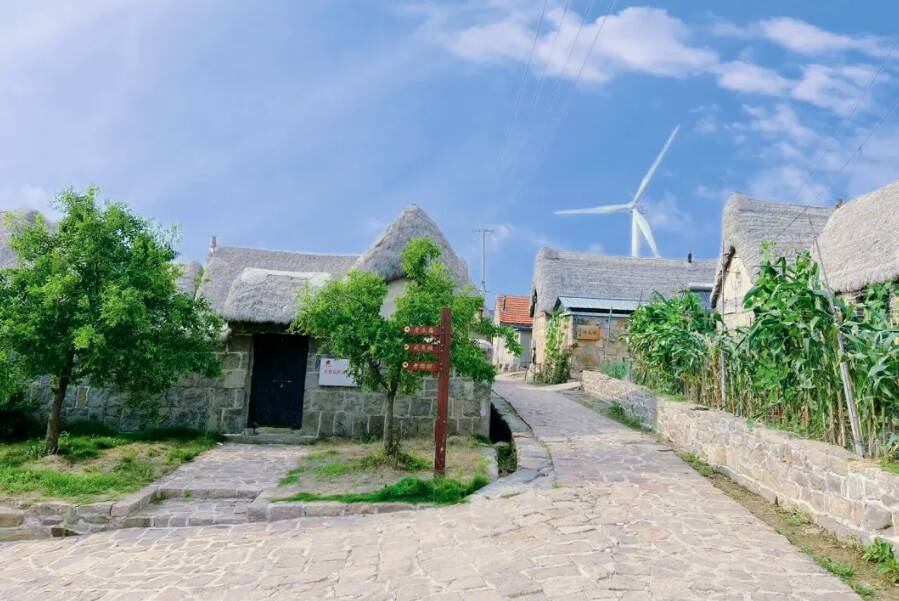 农家乐排行_新闻多一点|枣庄的石榴(2)