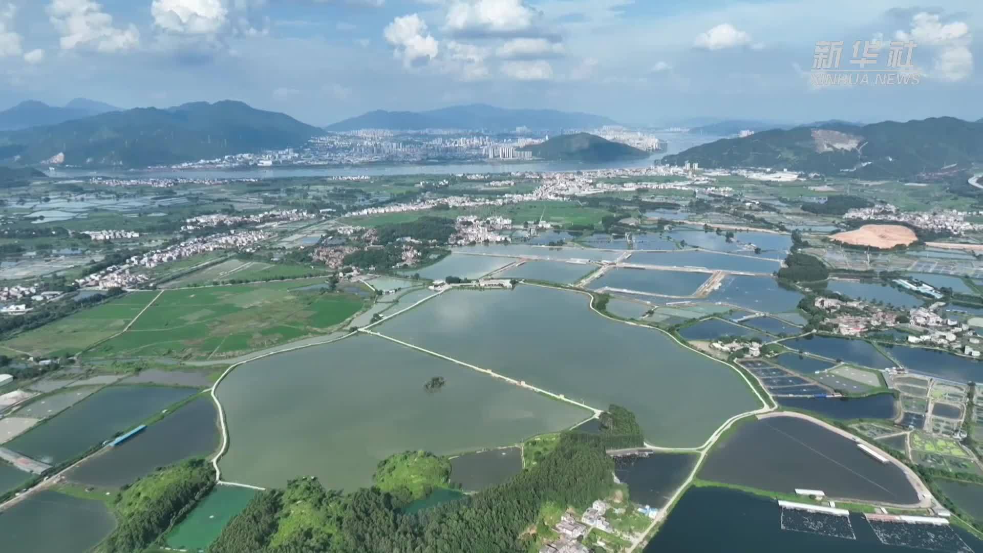 广东肇庆：庆丰收 促和美