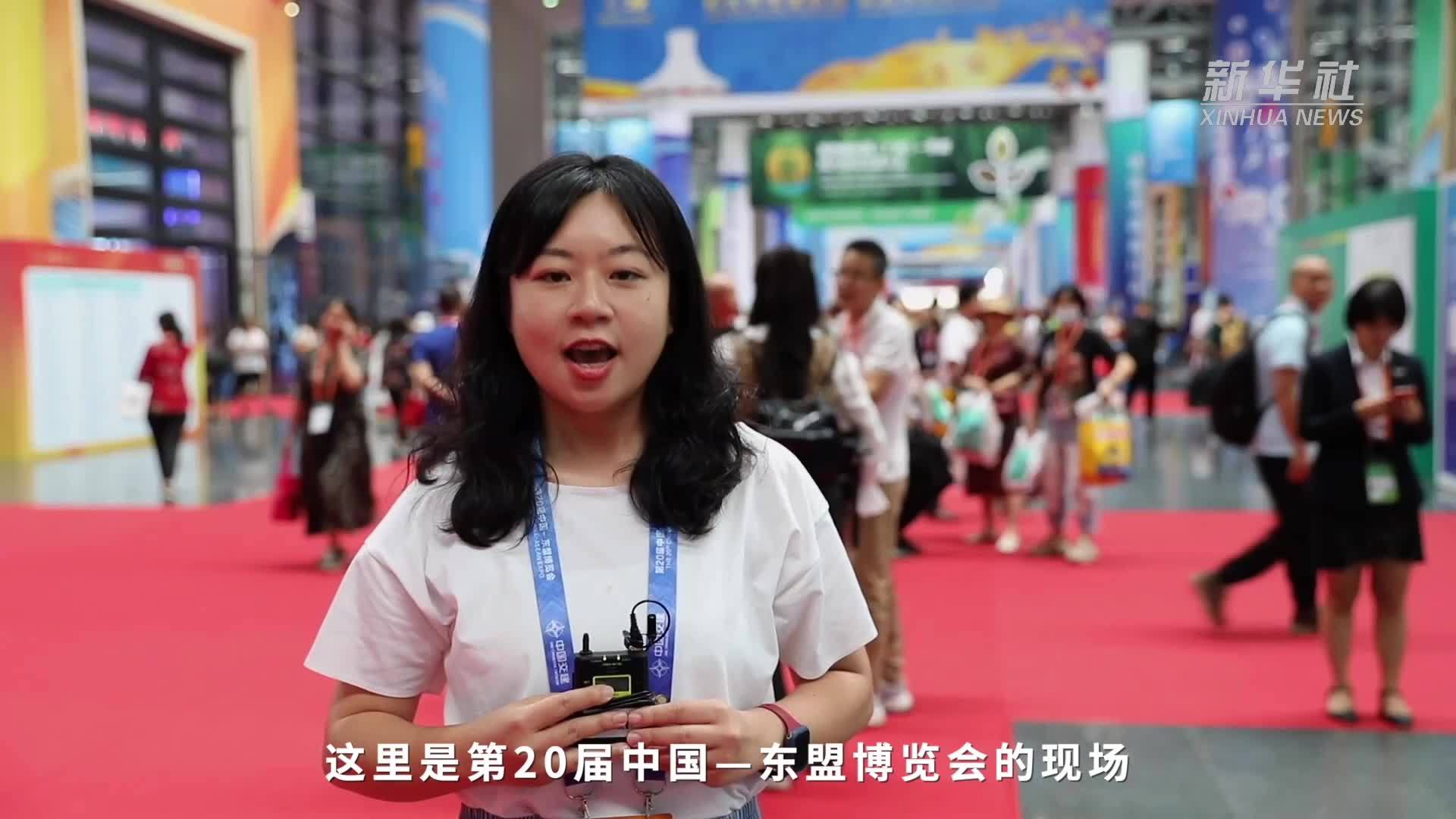 东博会参展商：对中国－东盟区域经济复苏充满信心