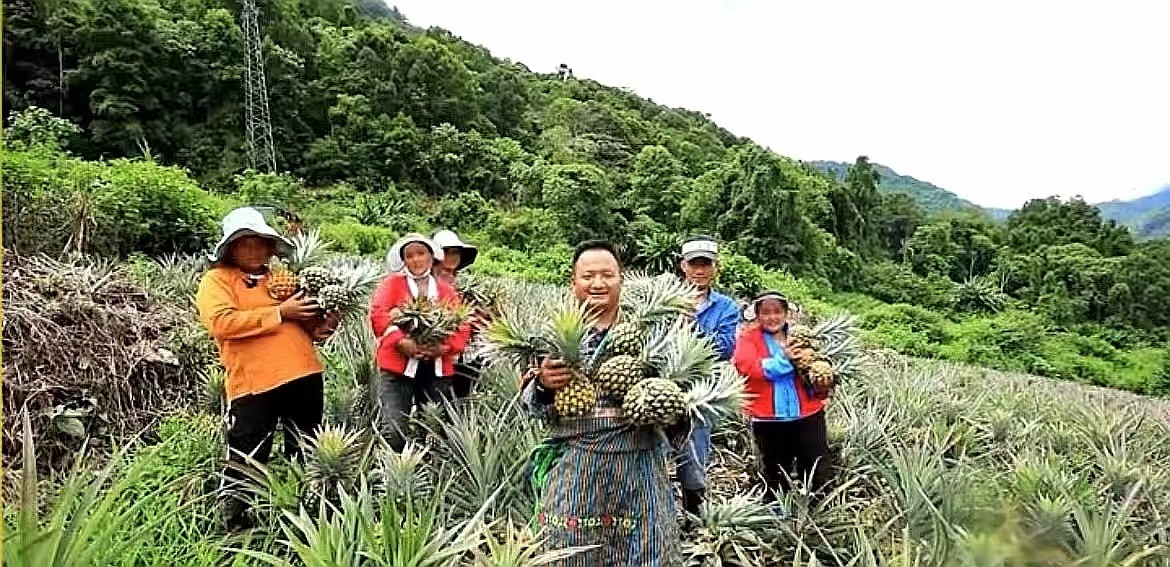 白玛次成和村民展示刚收获的菠萝