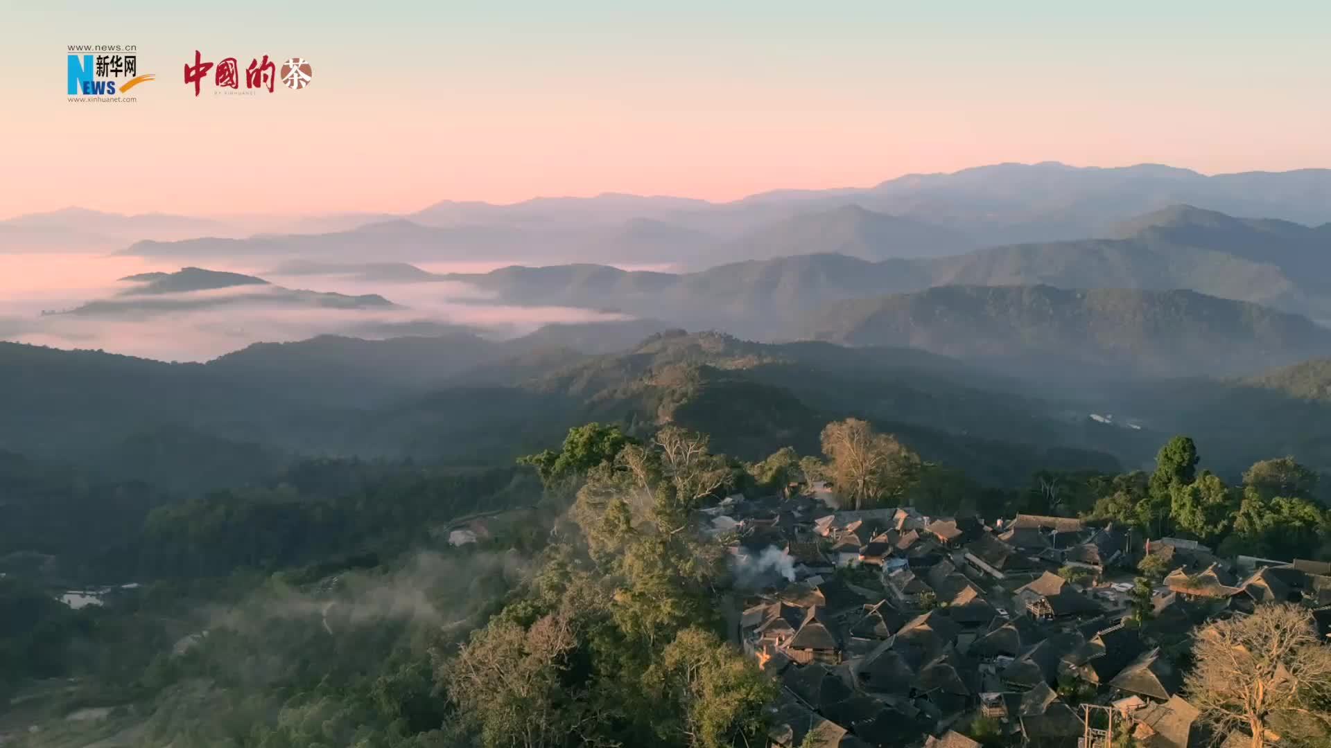 景迈山申遗成功，云南这座古茶林什么来头？