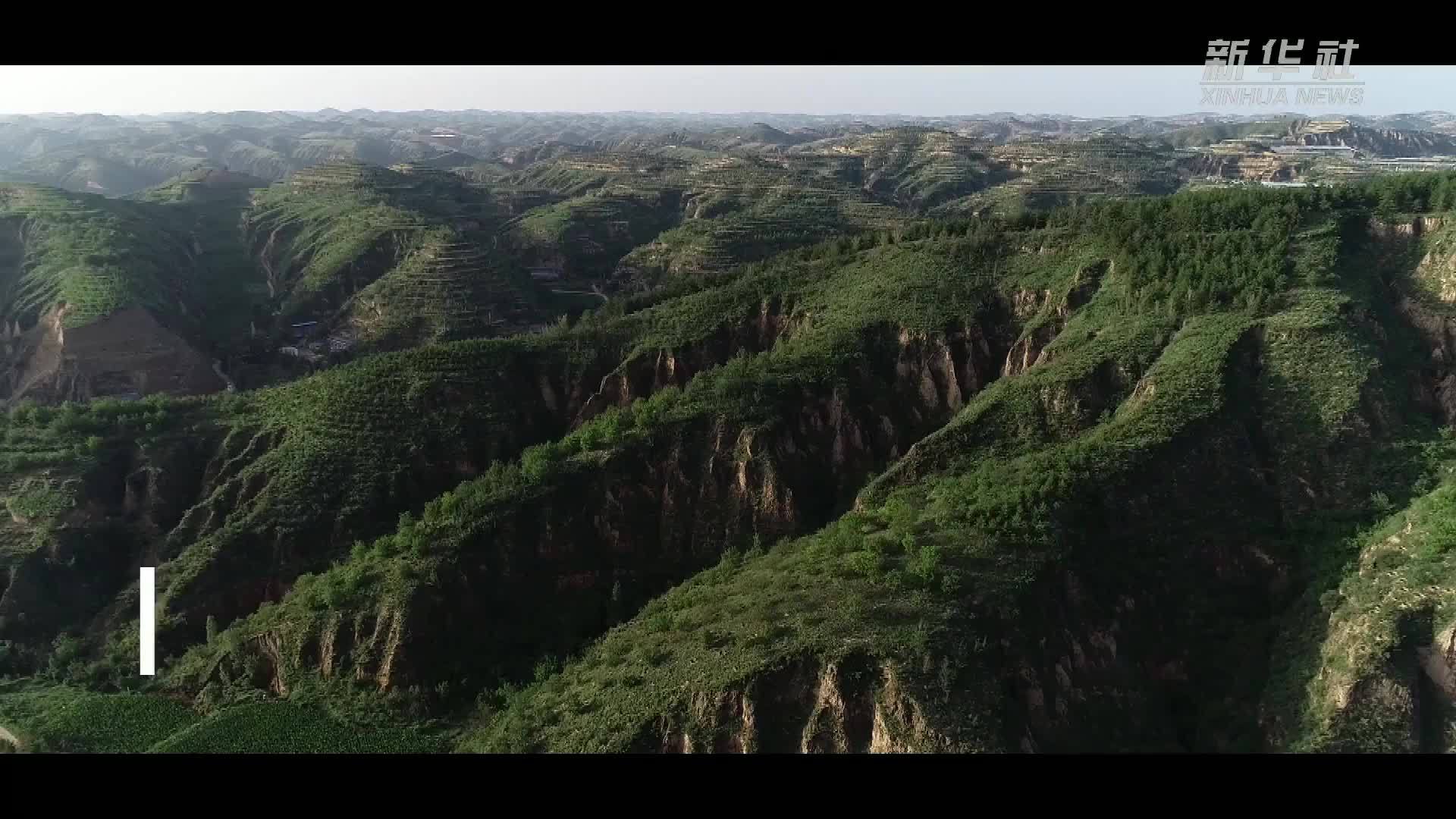 情满黄河｜黄土高原绿意浓—走近黄河中游陕西高西沟