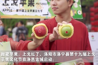 甜蜜苹果、上戈红了！第十九届上戈苹果文化节在洛邑古城启动