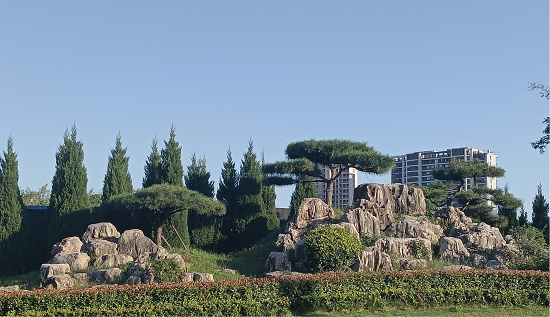 临沂市城管局园林环卫中心：沂蒙北路“显山露真容”整治提升 刷新颜值迎“双节”