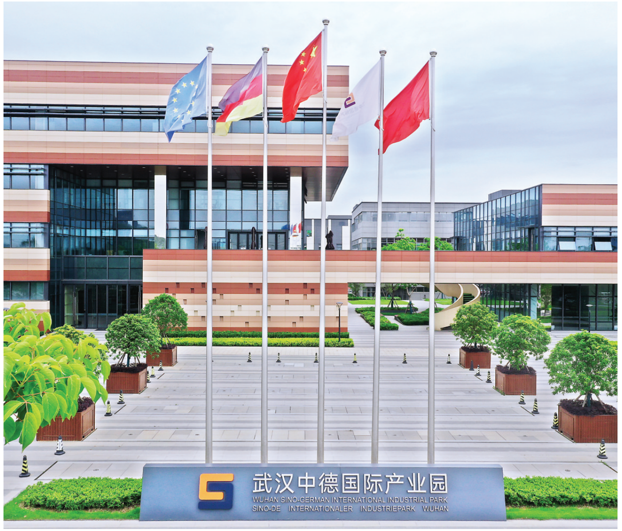 图片来源于蔡甸融媒