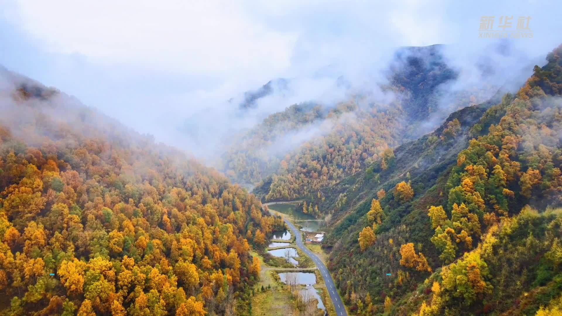 青海湟源：山雾缭绕 秋景如画