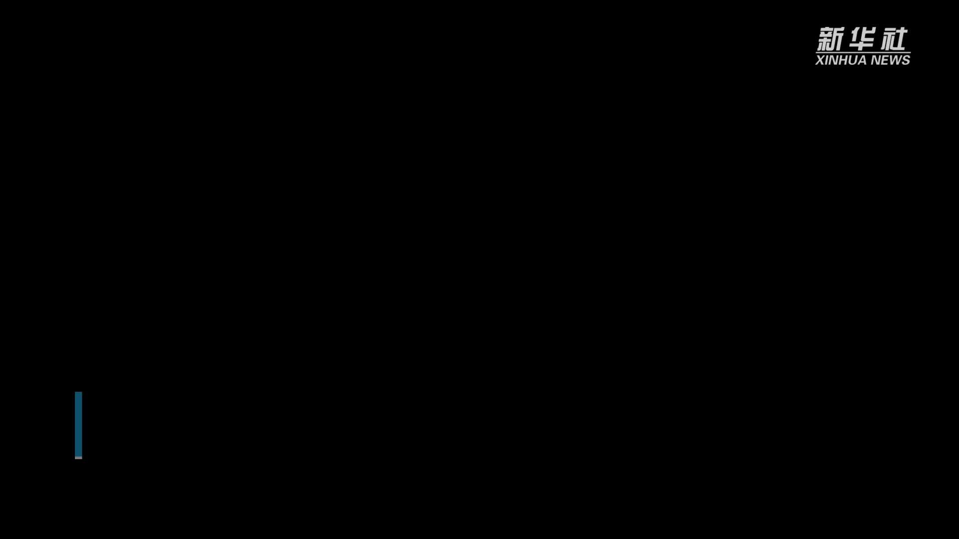 “北京作家日”开启视频联播：助推中国文学走向世界