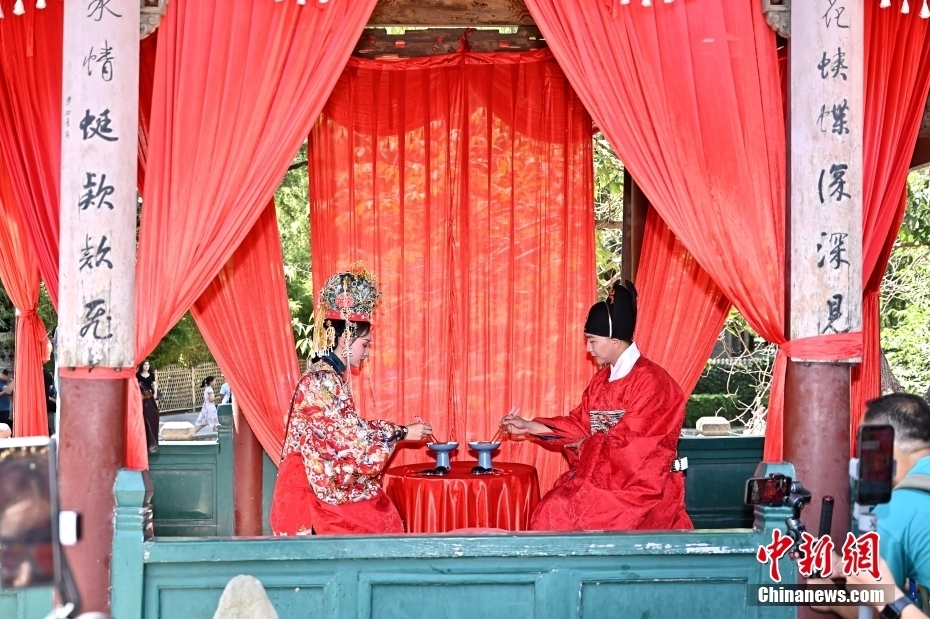 中新社记者 韦亮 摄