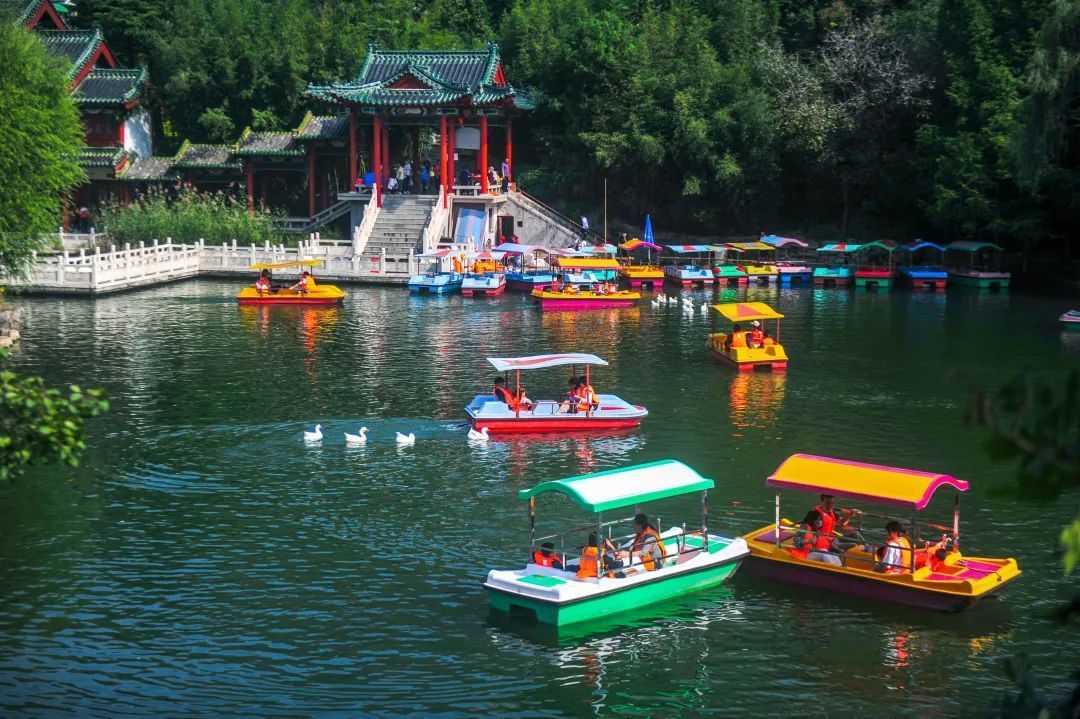 激发“全域旅游”活力济南“超级黄金周”高品质天博供给！(图7)