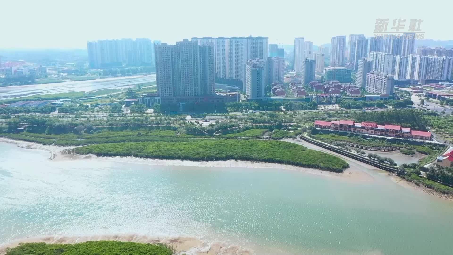 广西西湾红沙环海堤：生态与减灾协同增效