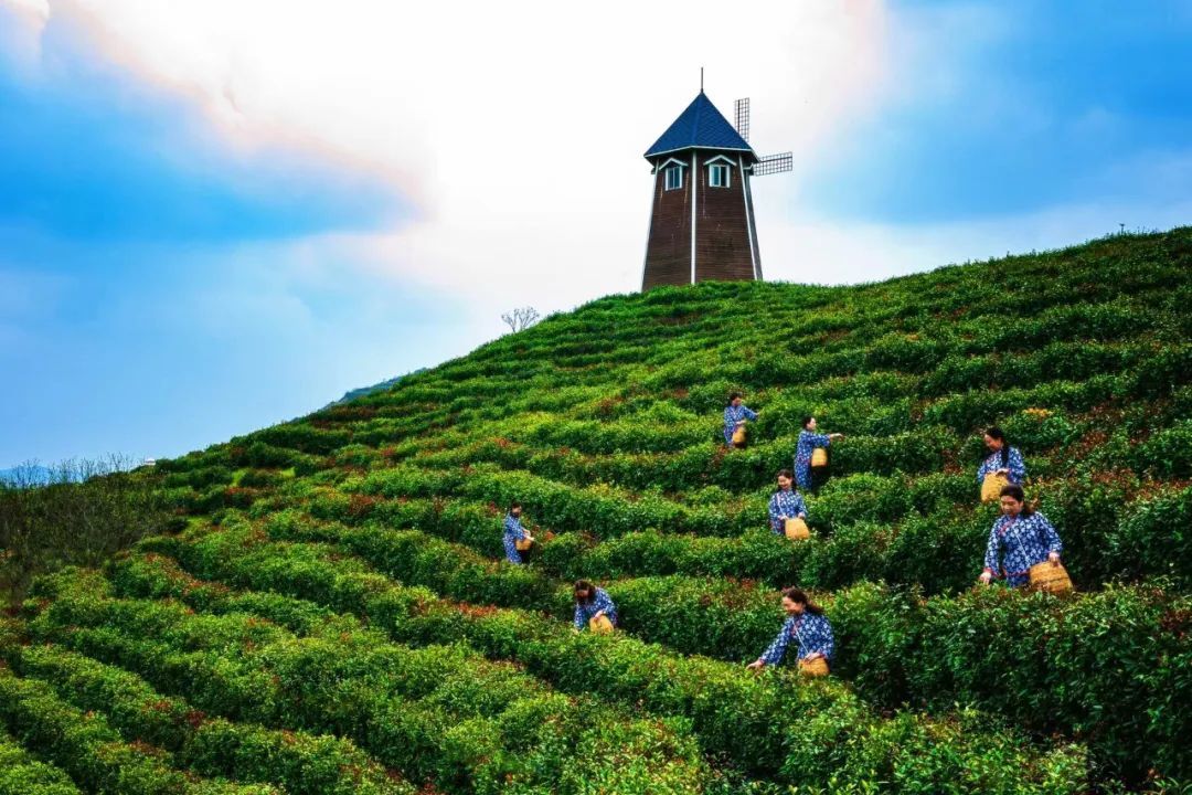 情满中秋礼赞国庆丨山阳等您来