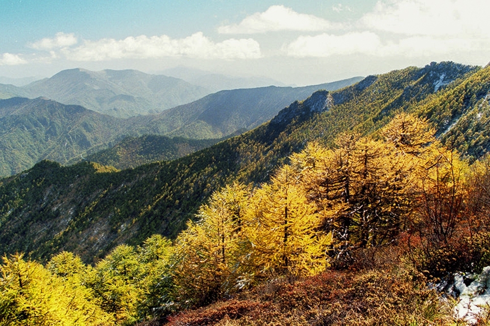 只需88元购买总价值1816元年卡,全年可不限次游览年卡覆盖的所有景区