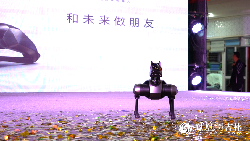 “小米”第二代“铁蛋”机器狗巡展演示。凤凰网吉林 董令辉/摄