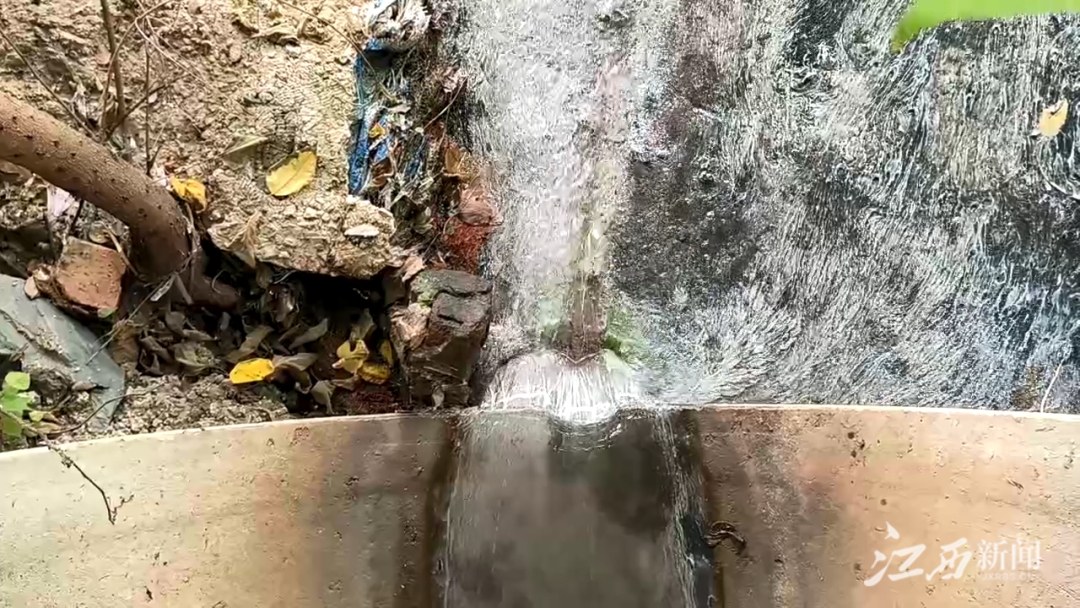 ▲万里大道与城西大道交汇处排口生活污水直排。