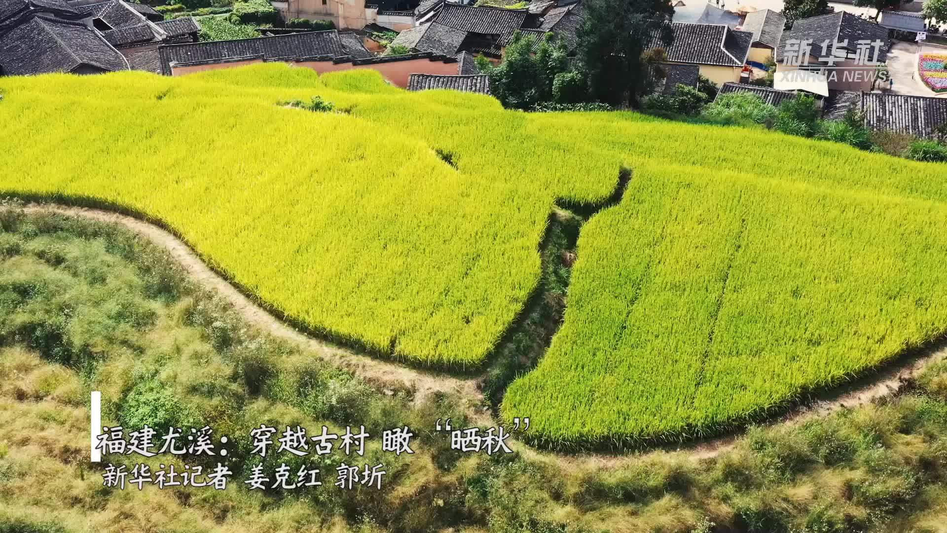 福建尤溪：穿越古村 瞰“晒秋”