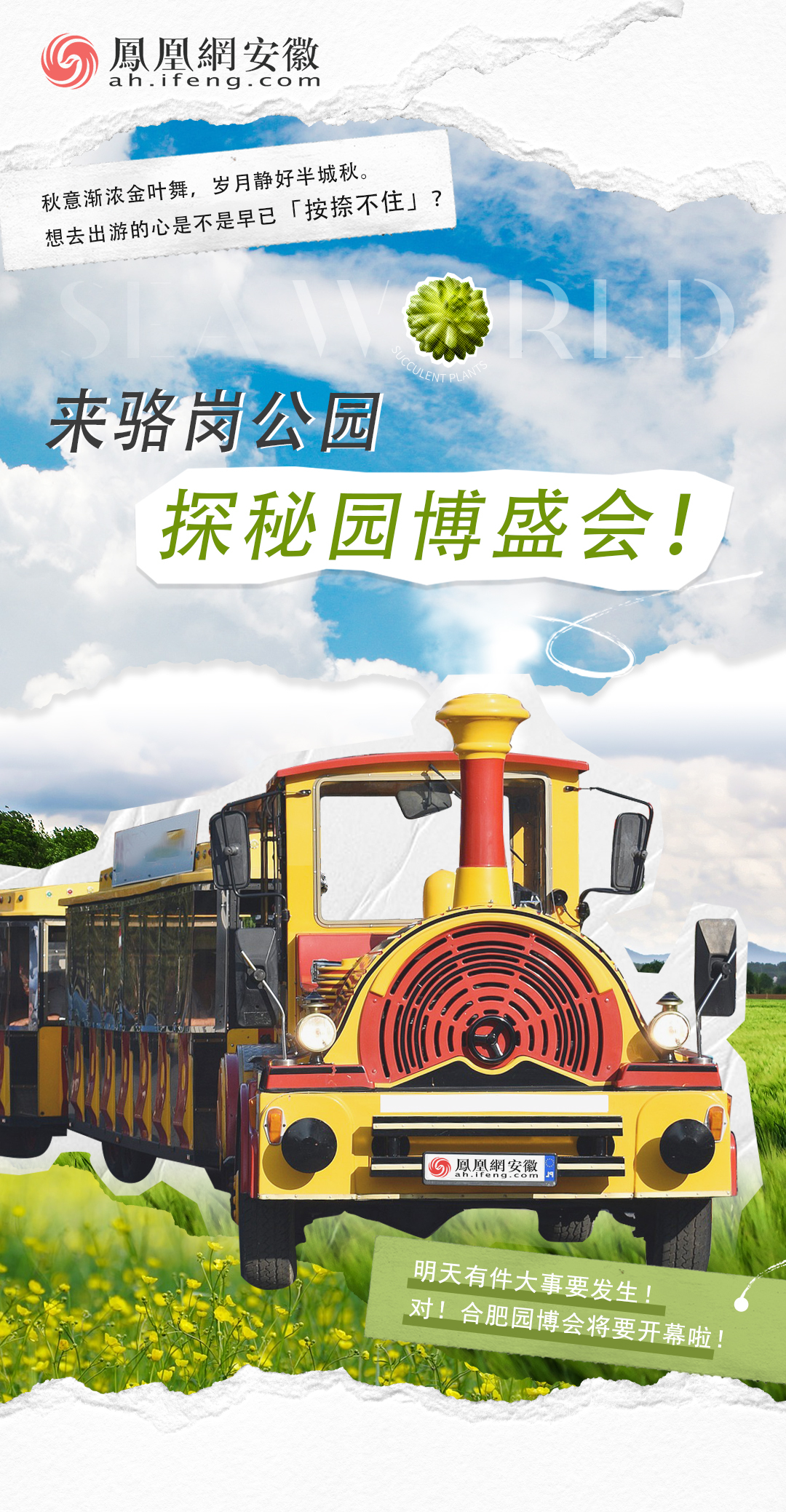 倒计时1天！快来合肥园博园邂逅秋季多巴胺！