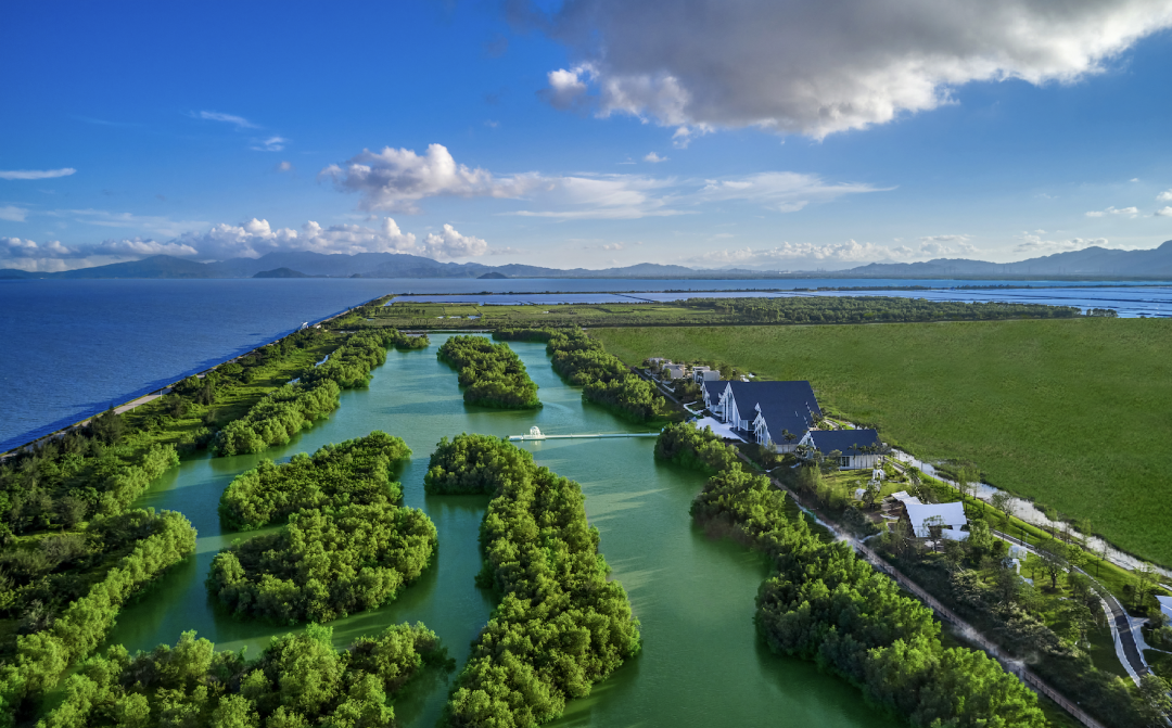 银湖湾滨海新区高水平规划建设深江经济合作区 谱写发展新篇