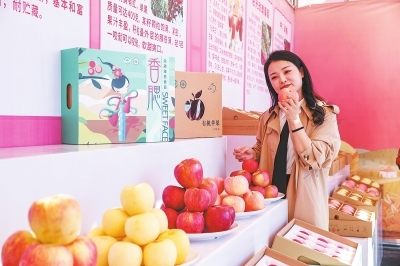 上戈苹果惹人醉