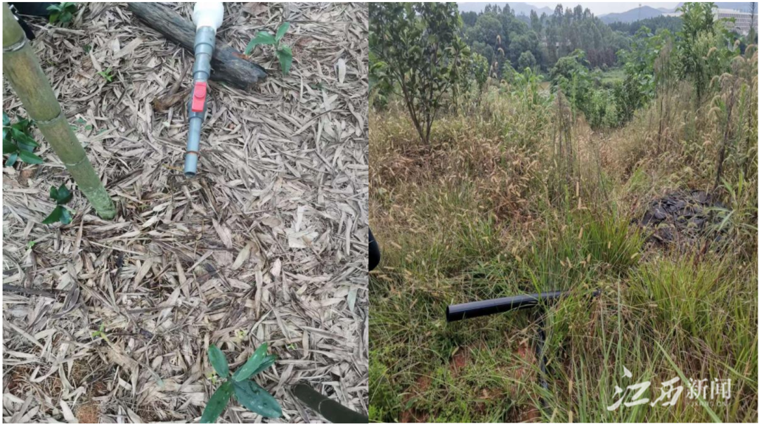 ▲清河畜牧、鑫鸿农牧等粪污综合利用管道无粪污排出。