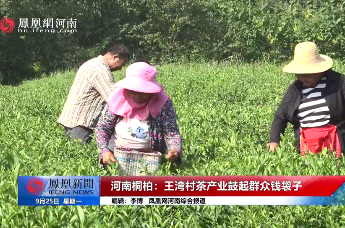 河南桐柏：王湾村茶产业鼓起群众钱袋子