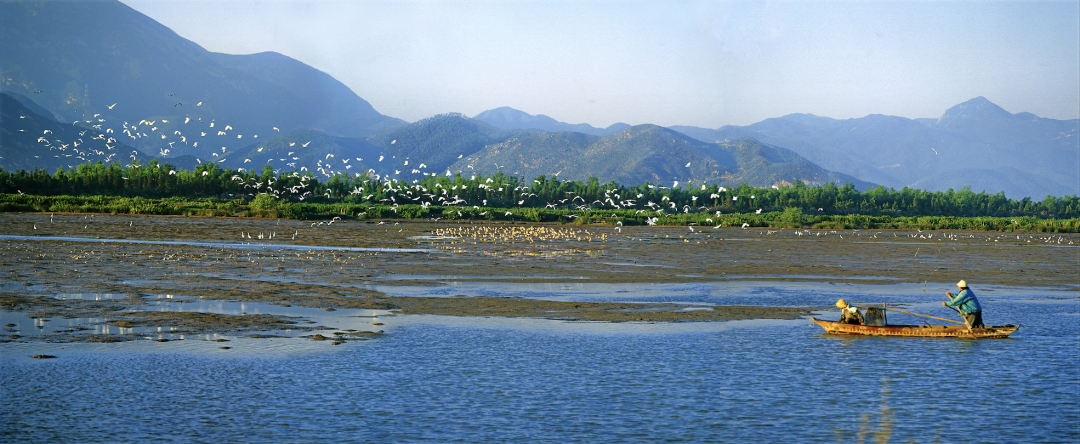 银湖湾滨海新区高水平规划建设深江经济合作区 谱写发展新篇