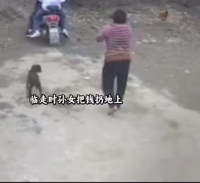 六安一女孩中秋看望姥姥被塞钱 走时趁机仍在地上