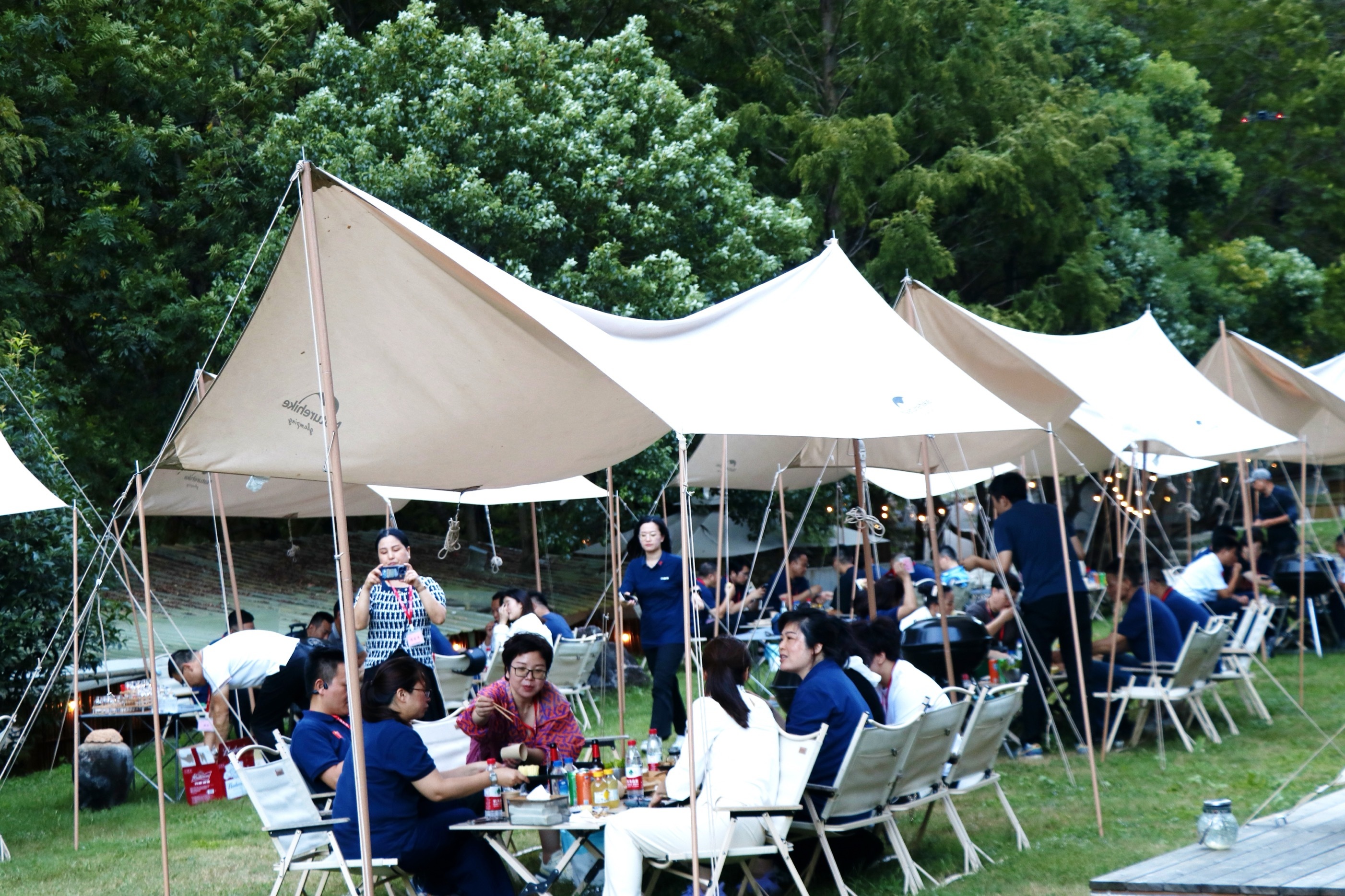 “溪上露营+特色采摘”，宁海胡陈农旅体验氛围拉满！