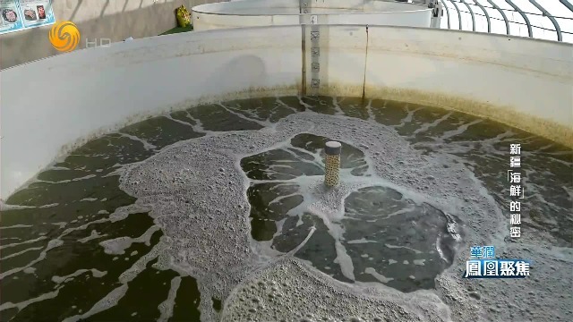 如何调配“人工海水”？“添加法”和“还原法”都有什么门道？