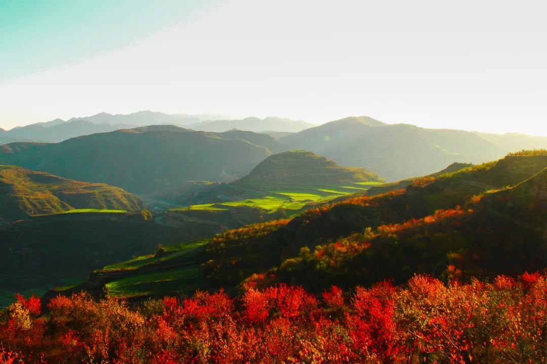 礼县八大景点图片