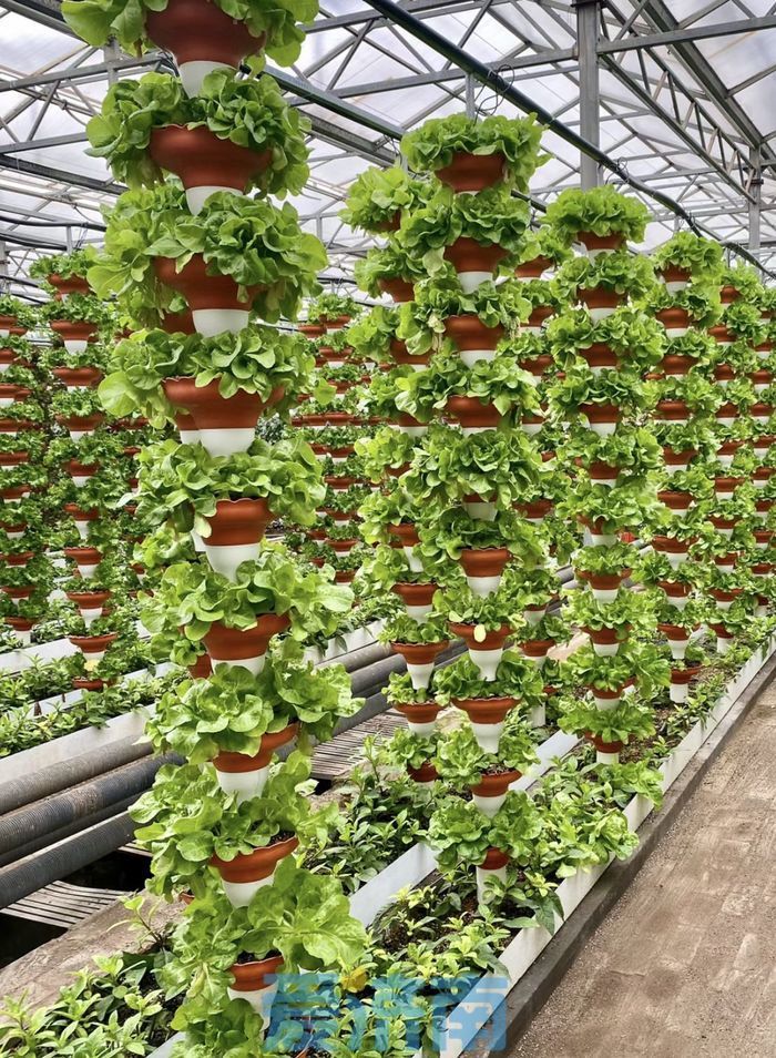 （图片来源于网络）