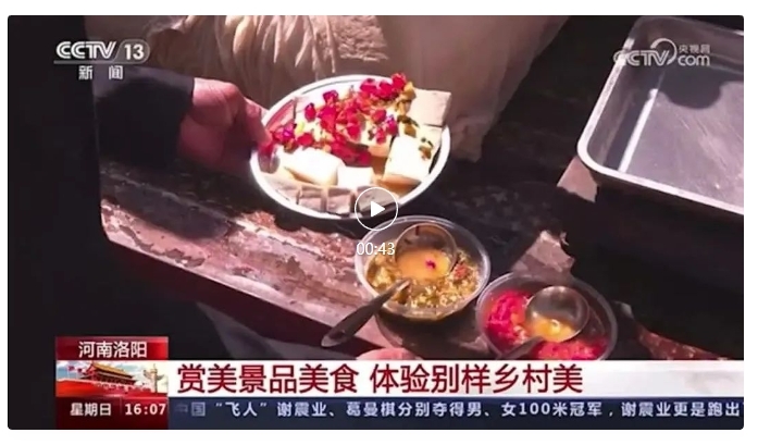 上央视啦！鸡冠洞菊展、豆腐宴火爆出圈！