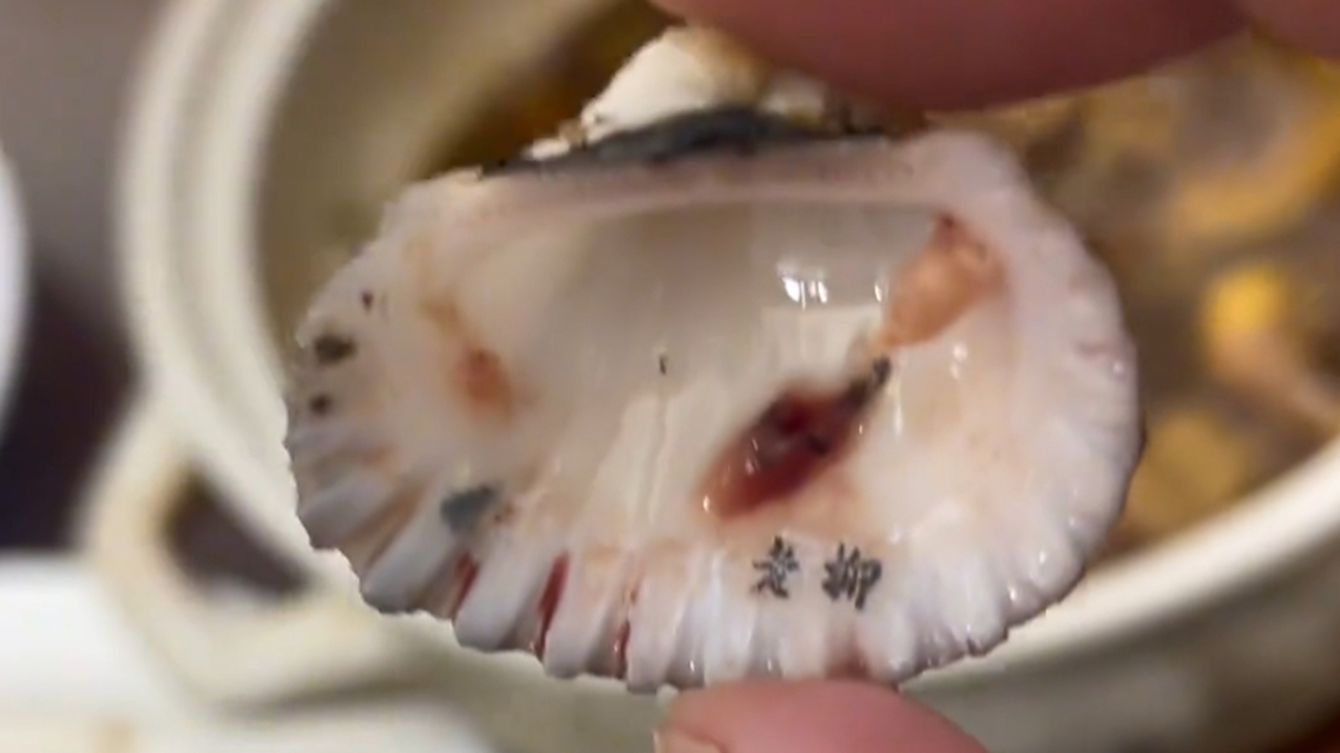 男子饭店用餐发现花蛤上竟有“老柳”二字，拍摄者：字很清晰，大概一粒大米四分之一大