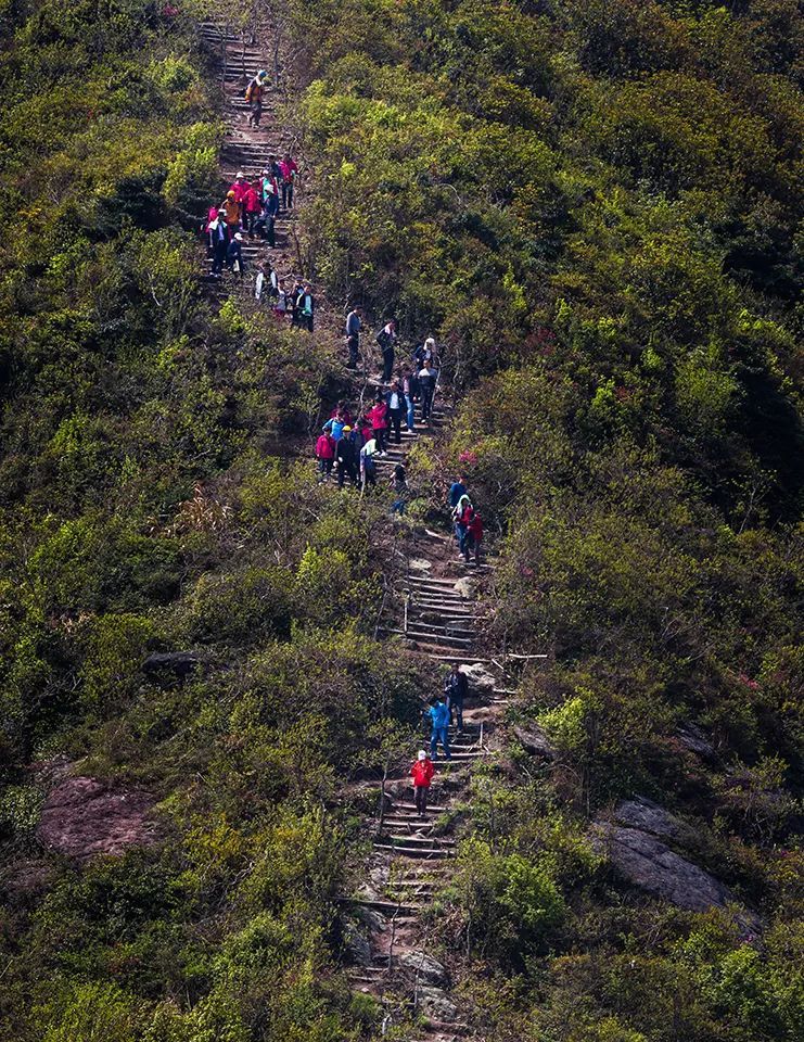宁波最美登山步道图片