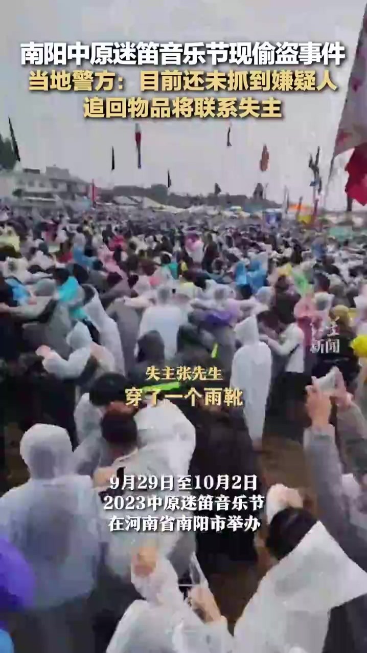 南阳中原迷笛音乐节现偷盗事件警方回应