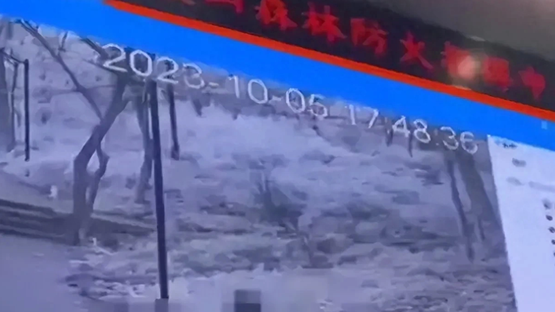 森林防火指挥中心大屏播放监控拍下的男女野外不雅画面？街办：此事比较敏感