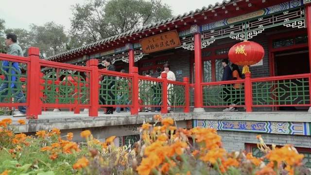来到梨树
