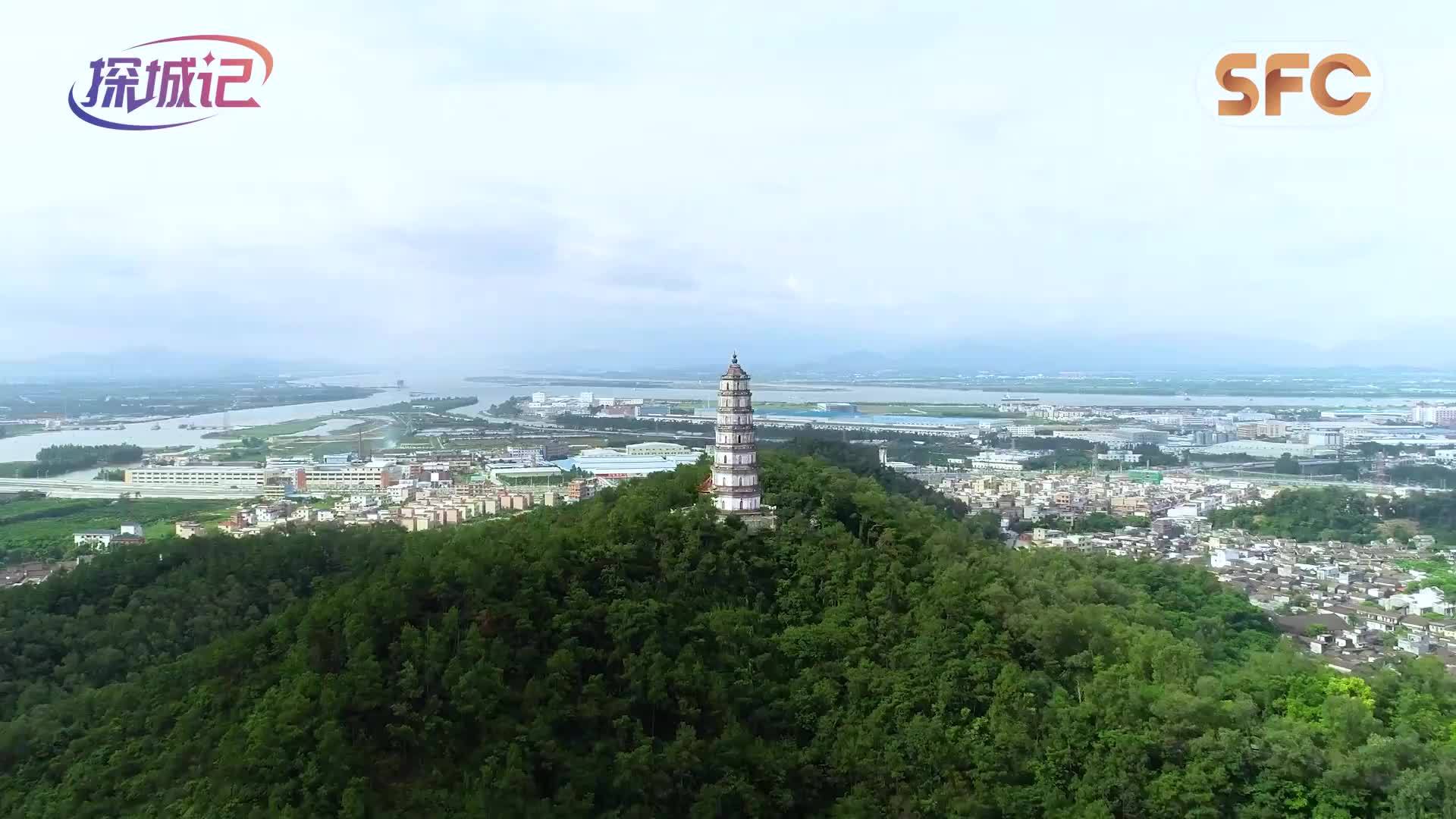 Z世代：关于“朋克养生”这件事，我们也是有讲究的｜探城记·走进江门