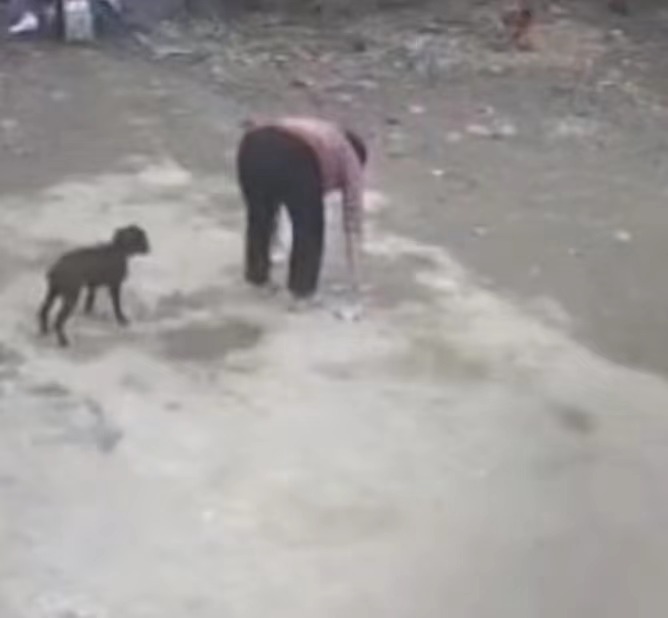 六安一女孩中秋看望姥姥被塞钱 走时趁机仍在地上