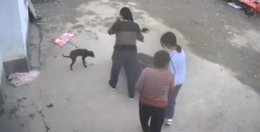 六安一女孩中秋看望姥姥被塞钱 走时趁机仍在地上