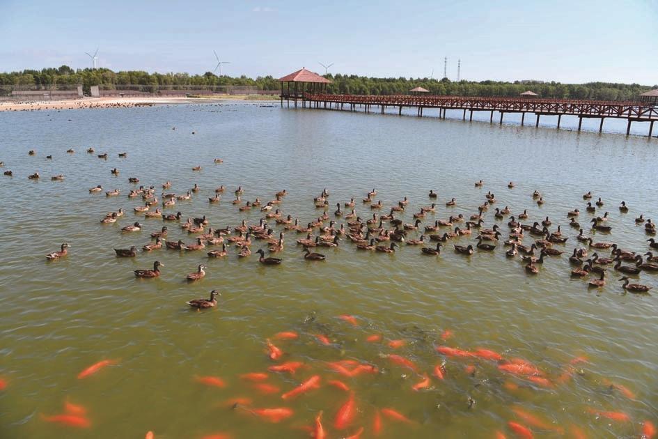 为了把“查干湖”这个金字招牌越擦越亮，当地不断完善基础设置、丰富旅游产品供给，景区内野鸭湾、百花园等景点整饬一新，全力实现保护生态和发展生态旅游相得益彰的愿景。