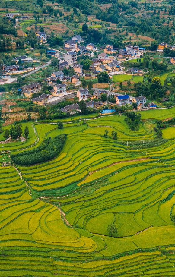 图/余庆文旅