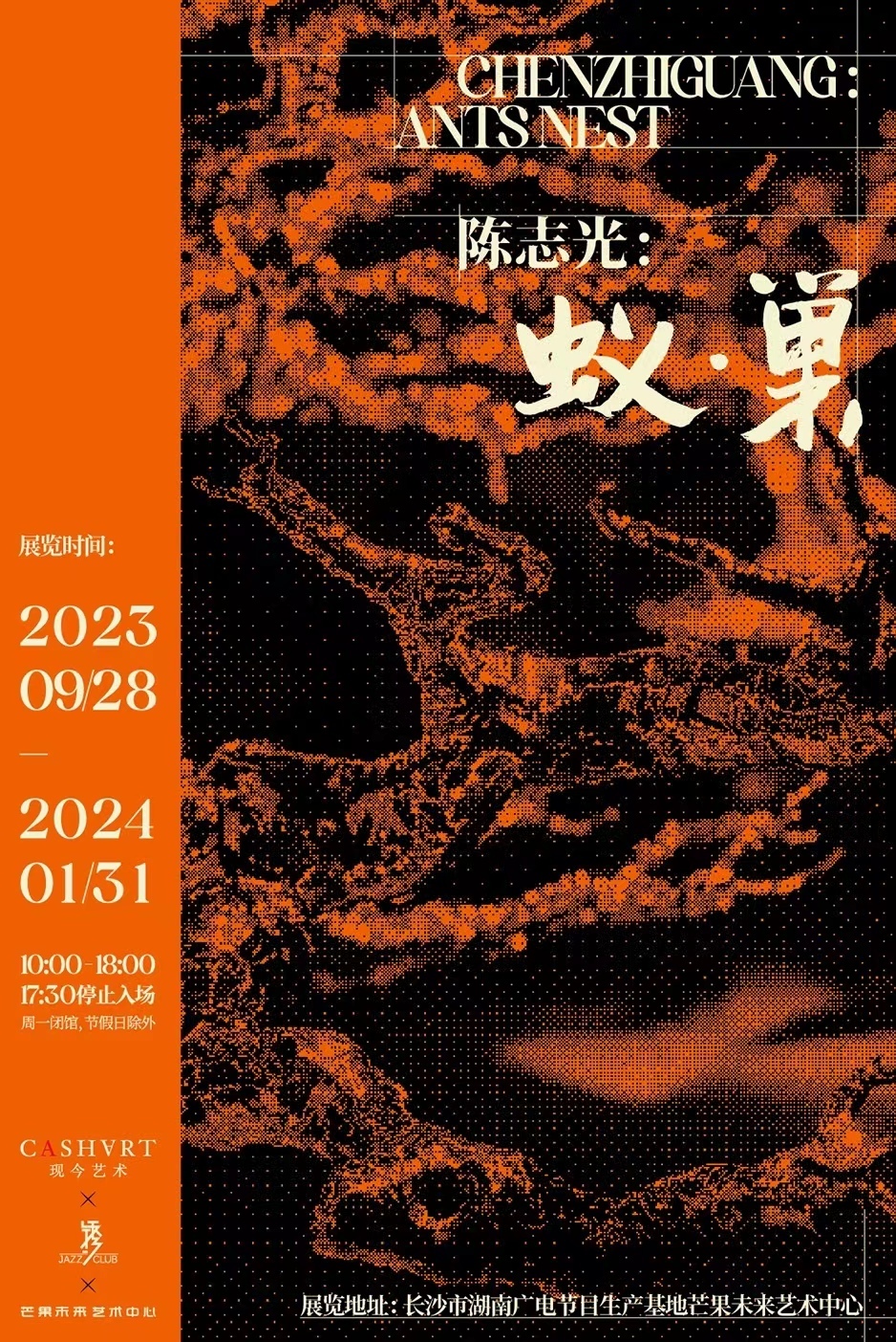 「陈志光：蚁&middot;巢」登陆长沙芒果未来艺术中心