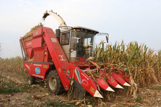 走进沂南看振兴 | 从工业小镇到农业强镇 看沂南大庄如何走好乡村振兴