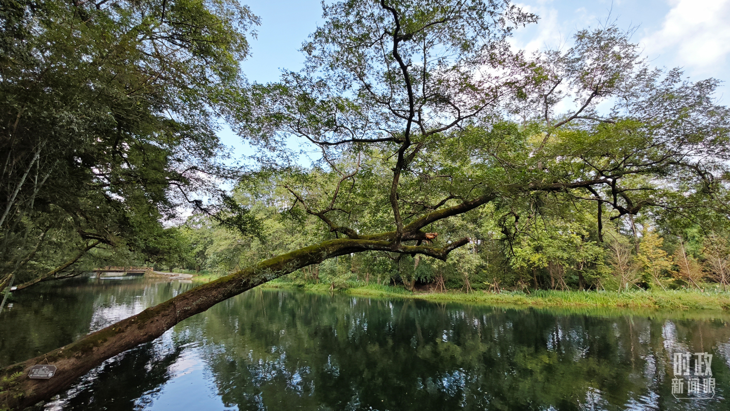 △饒河源國家濕地公園。（總臺央視記者郁振一拍攝）