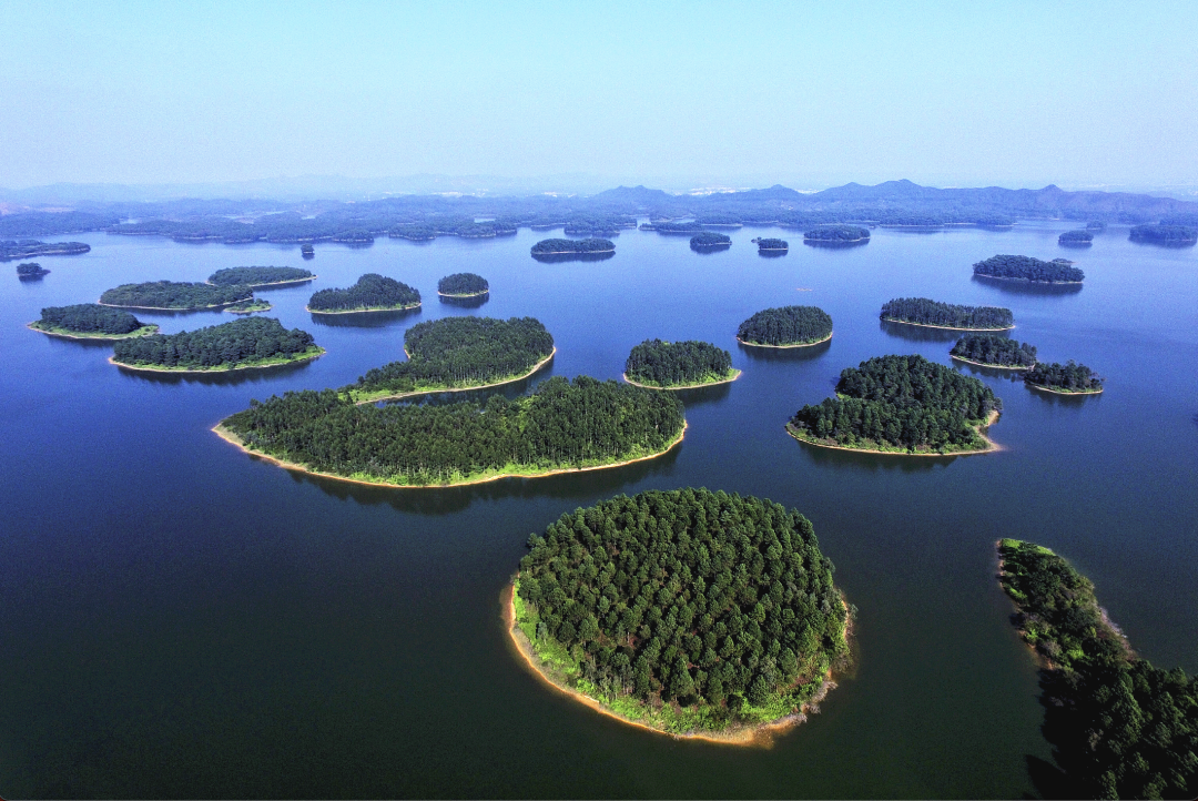 开平孔雀湖国家湿地公园 图源：江门市生态环境局开平分局