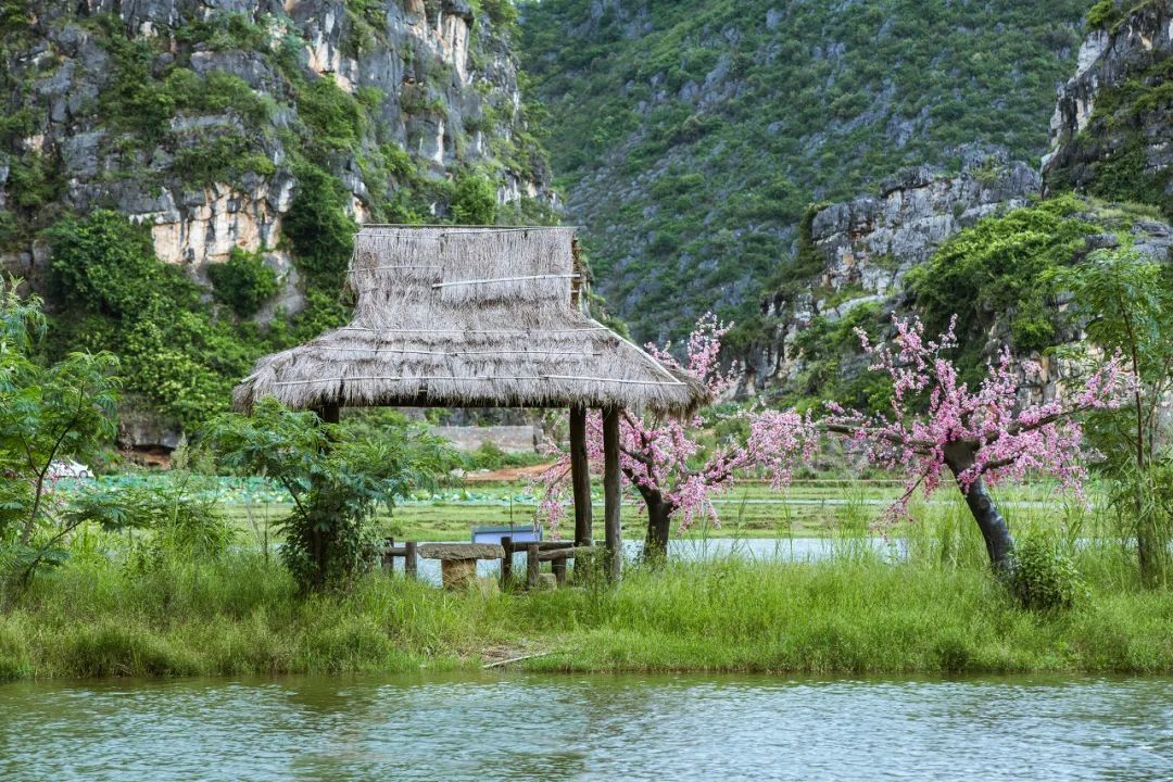 △普者黑的“十里桃花”（图/图虫创意）