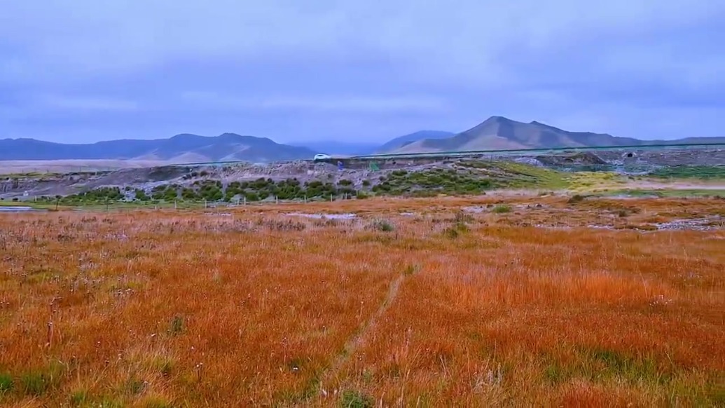 甘肃抓喜秀龙草原